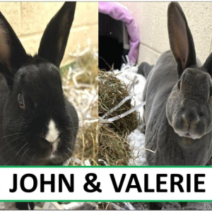 John & Valerie Sponsorship Pack